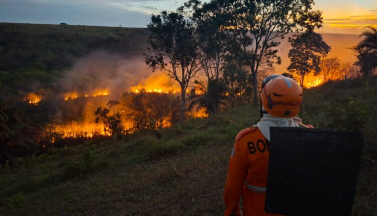 Bombeiros combatem incêndio em vegetação e resgatam motorista na BR-101