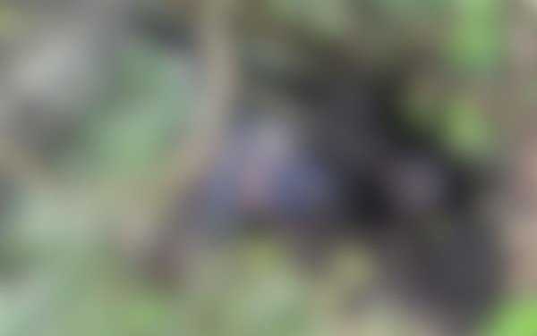 Corpo de mototaxista é encontrado queimado e amarrado em Itaporanga após 10 dias desaparecido