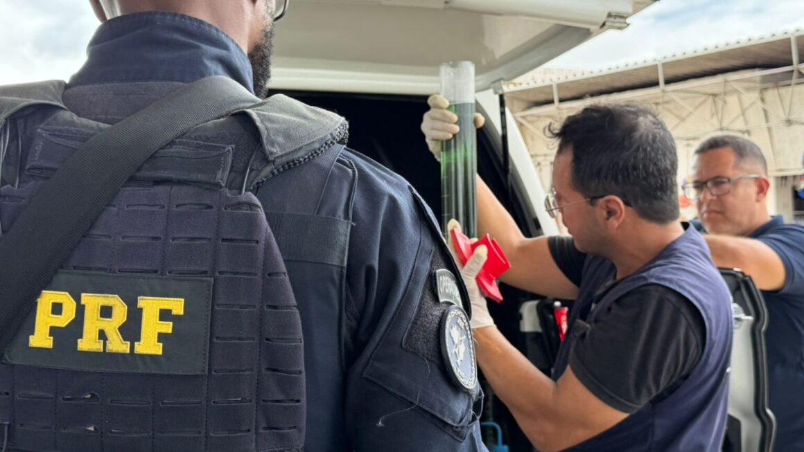 Bicos de combustível são lacrados por irregularidade durante fiscalização