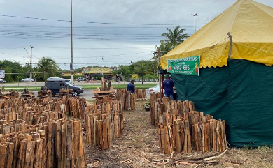 PMA abre cadastro para comércio de fogos, comidas típicas e fogueiras
